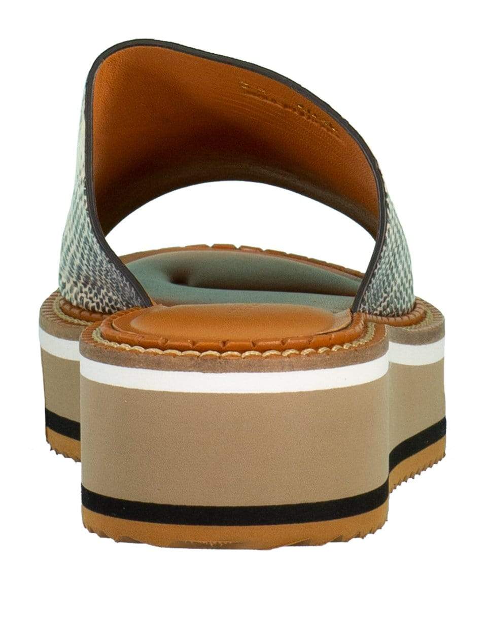 CLERGERIE-FASTCO6 Mule-