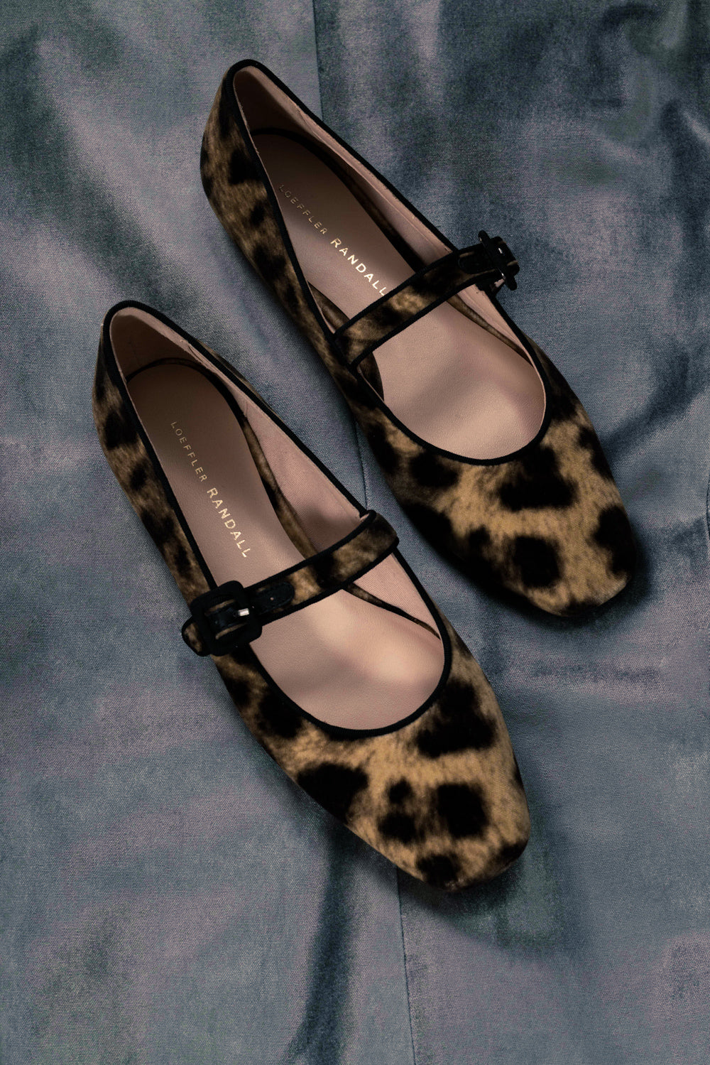  the shoe shop 