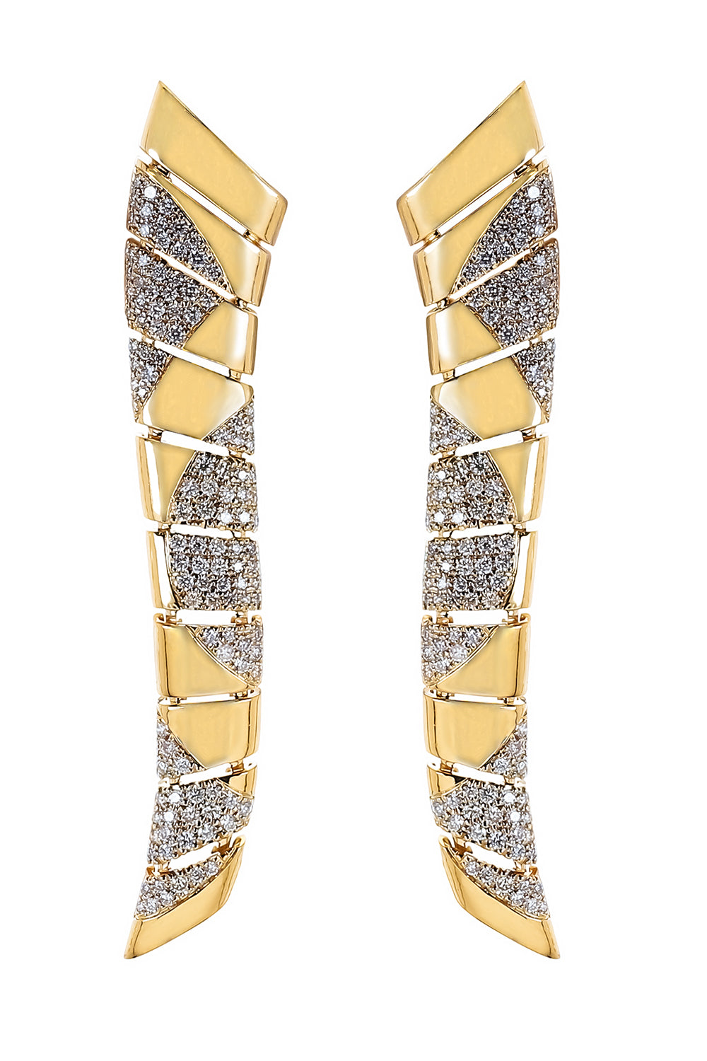 Diamond Section Long Earrings