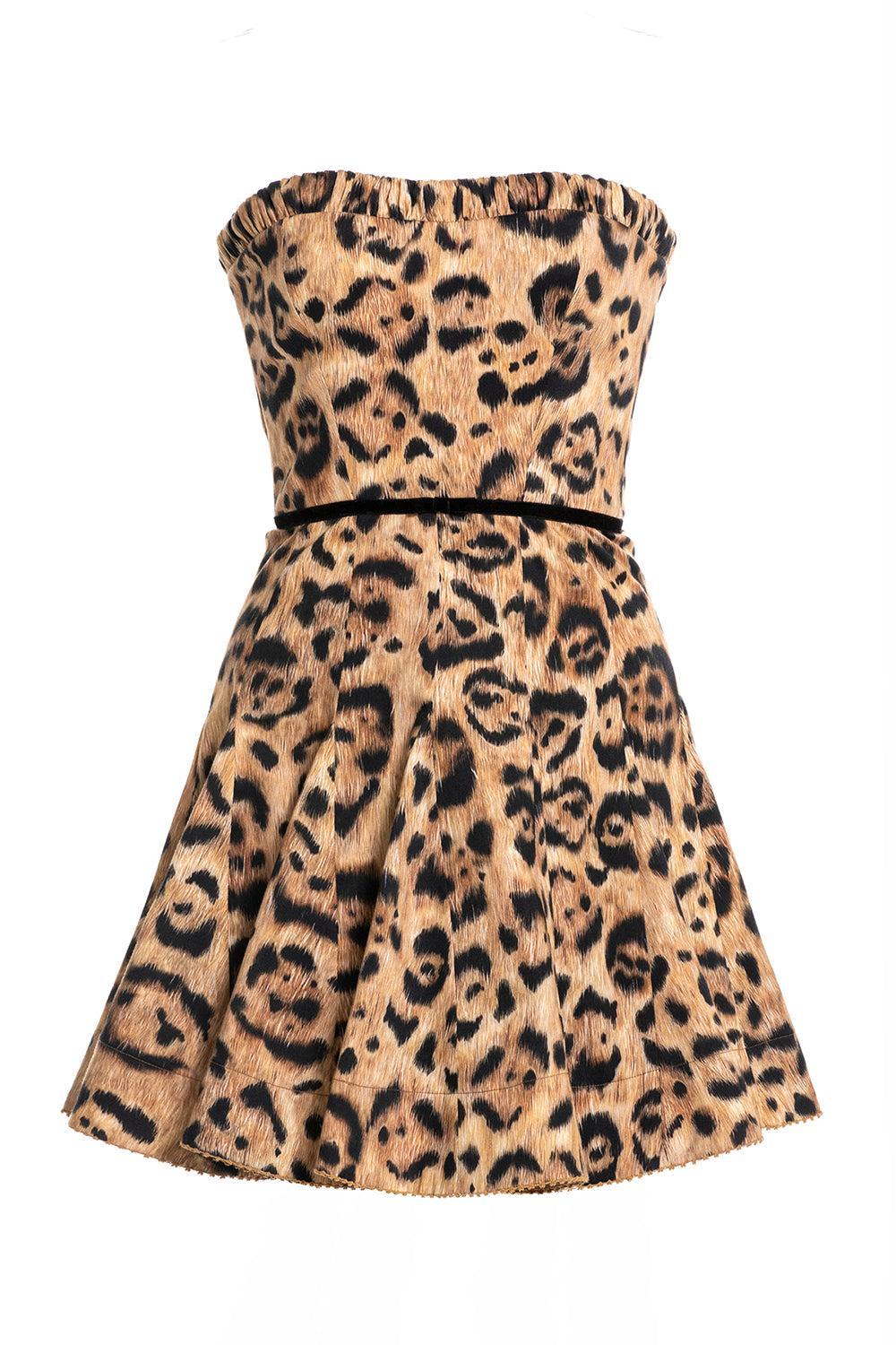 Caudal Jaguar Mini Dress-MULTI-XS-CLOTHINGDRESSCASUAL-AGUA BY AGUA BENDITA