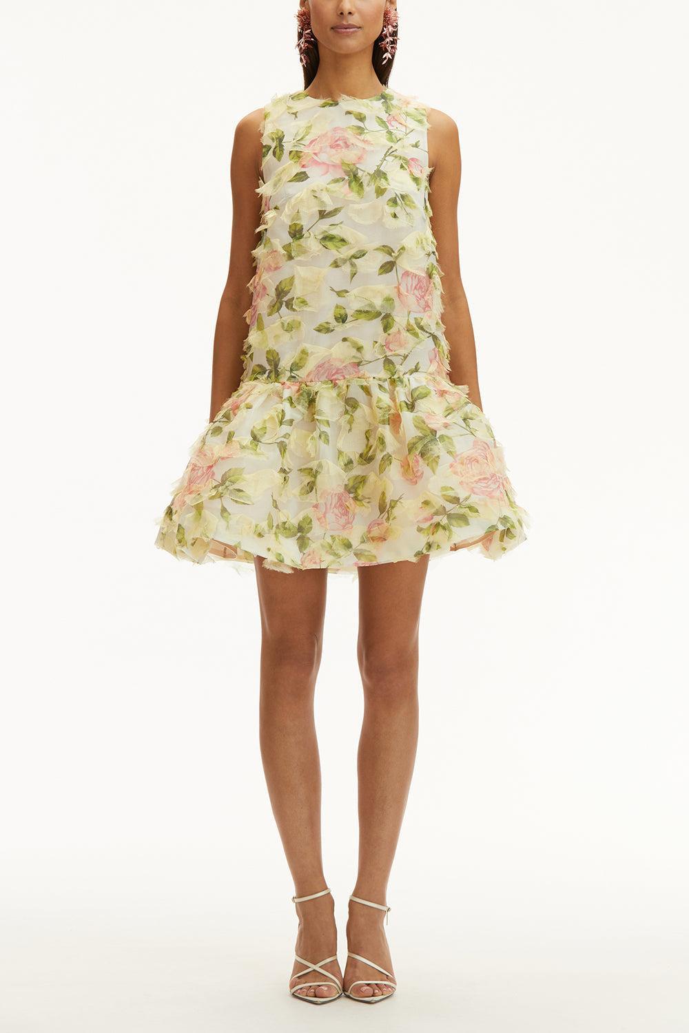 Sleeveless English Rose Dress-PNK/IVOR-6-CLOTHINGDRESSCASUAL-OSCAR DE LA RENTA