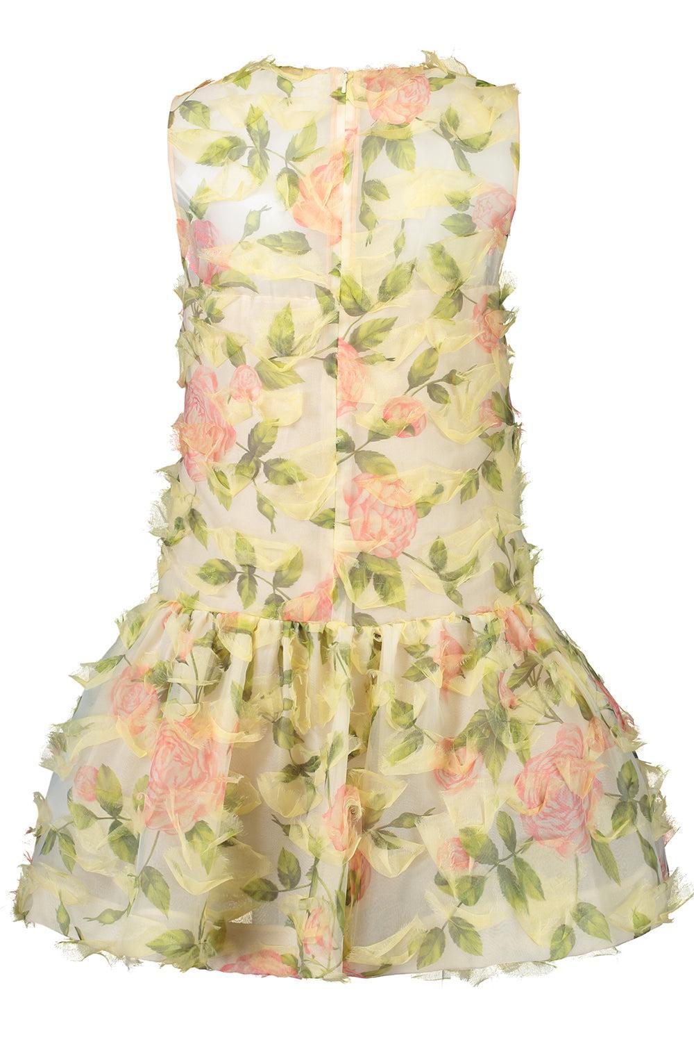 Sleeveless English Rose Dress-PNK/IVOR-6-CLOTHINGDRESSCASUAL-OSCAR DE LA RENTA