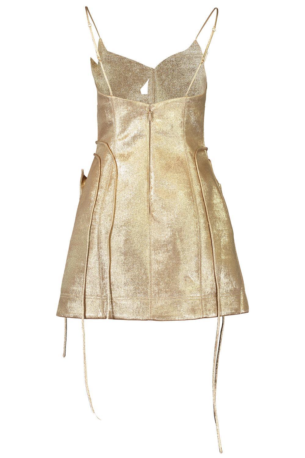 Hillsome Mini Dress-GOLD-2-CLOTHINGDRESSCOCKTAIL-ACLER