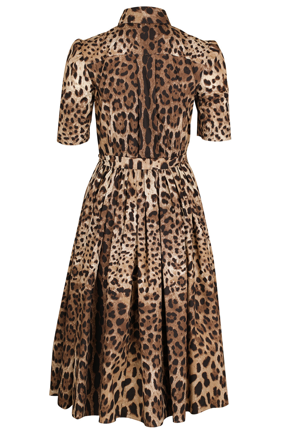Leo Dress-ANIMAL-40-CLOTHINGDRESSCASUAL-DOLCE & GABBANA