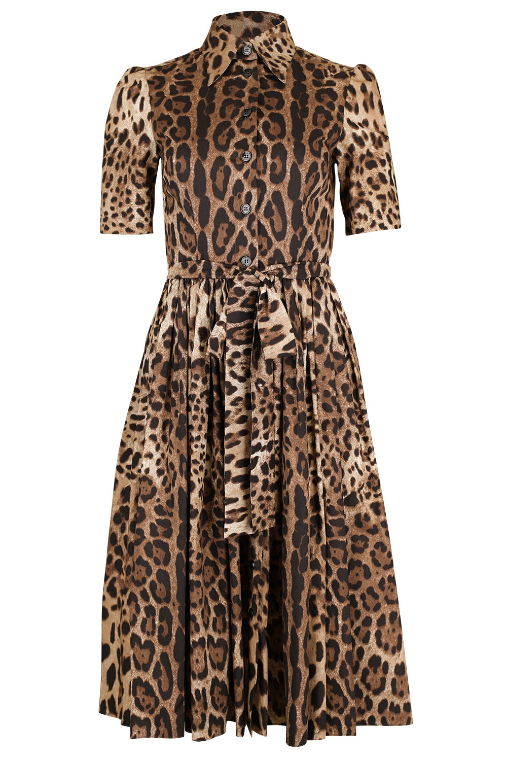 Leo Dress-ANIMAL-40-CLOTHINGDRESSCASUAL-DOLCE & GABBANA