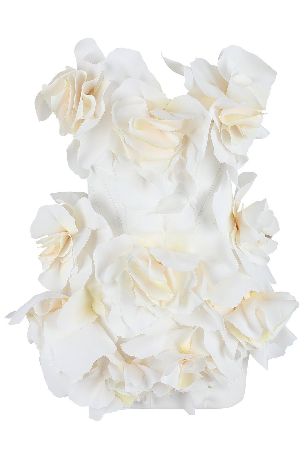 Jackhill Mini Dress-CREAM-2-CLOTHINGDRESSCASUAL-ACLER