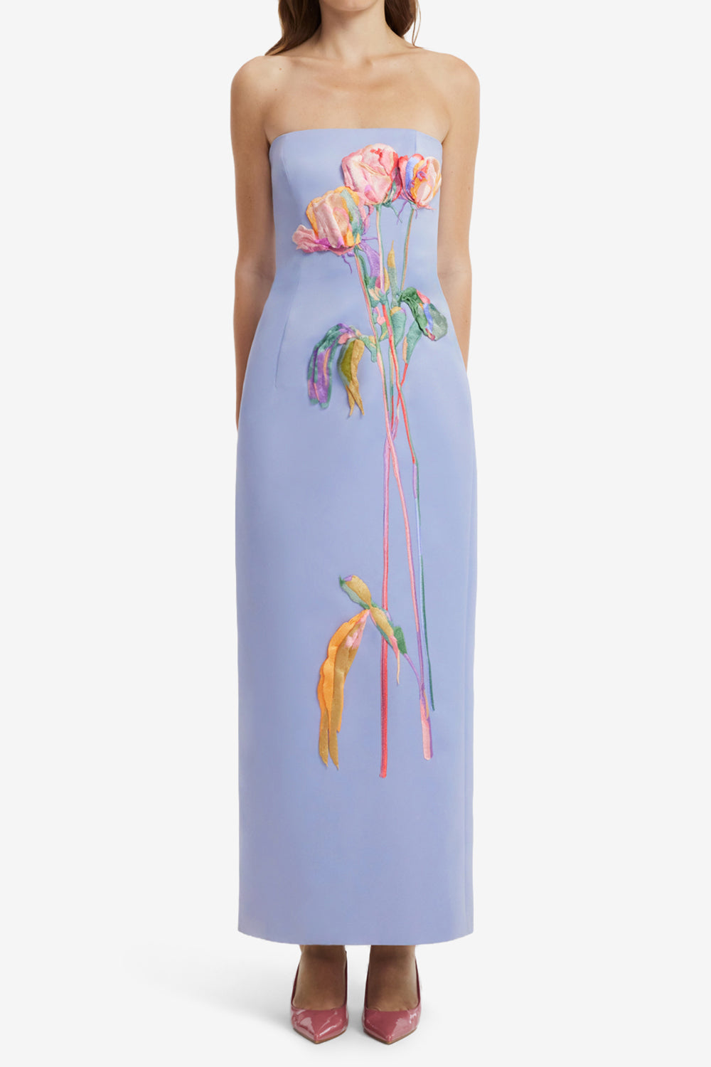 Rayna Embroidered Bustier Maxi Dress
