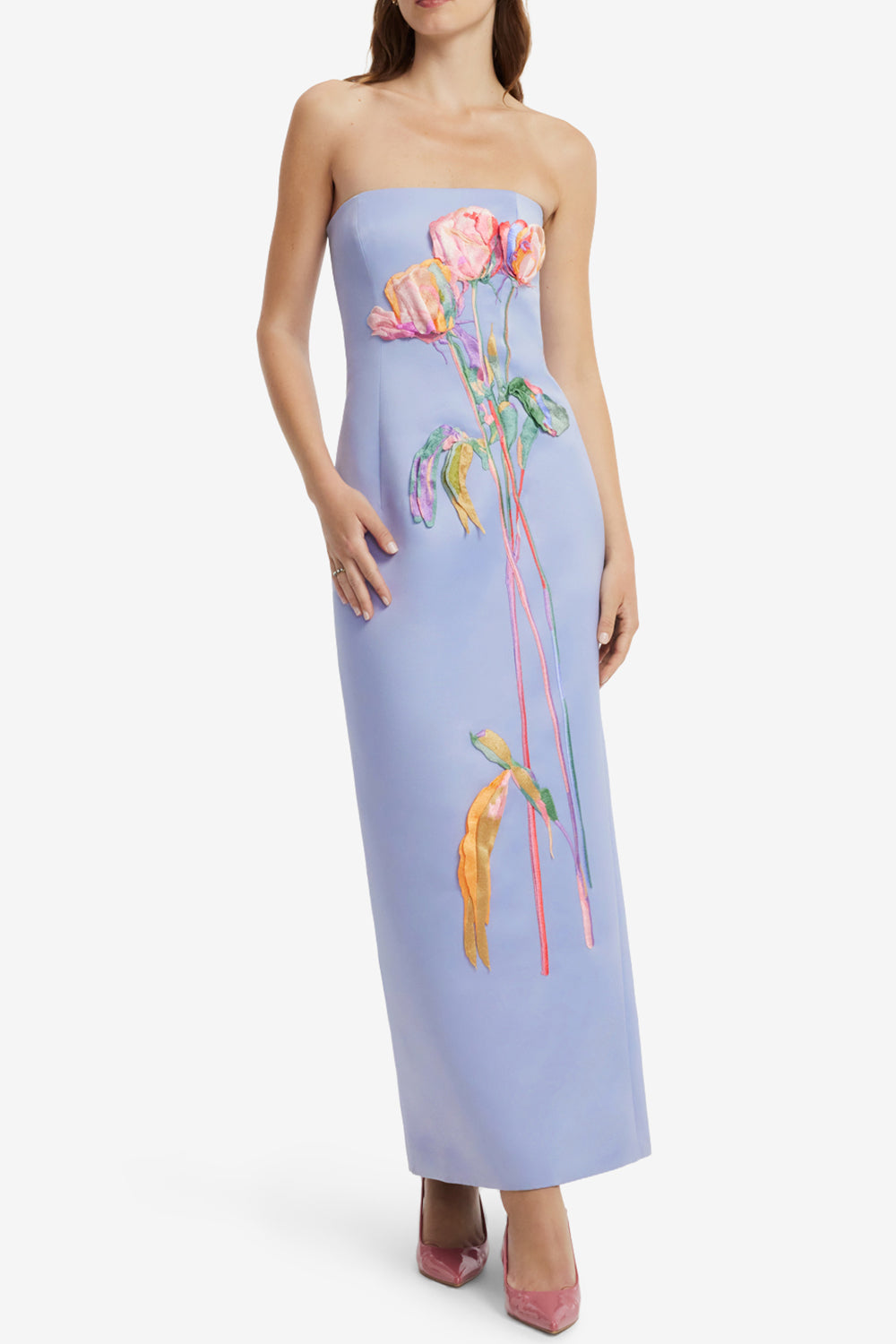 Rayna Embroidered Bustier Maxi Dress