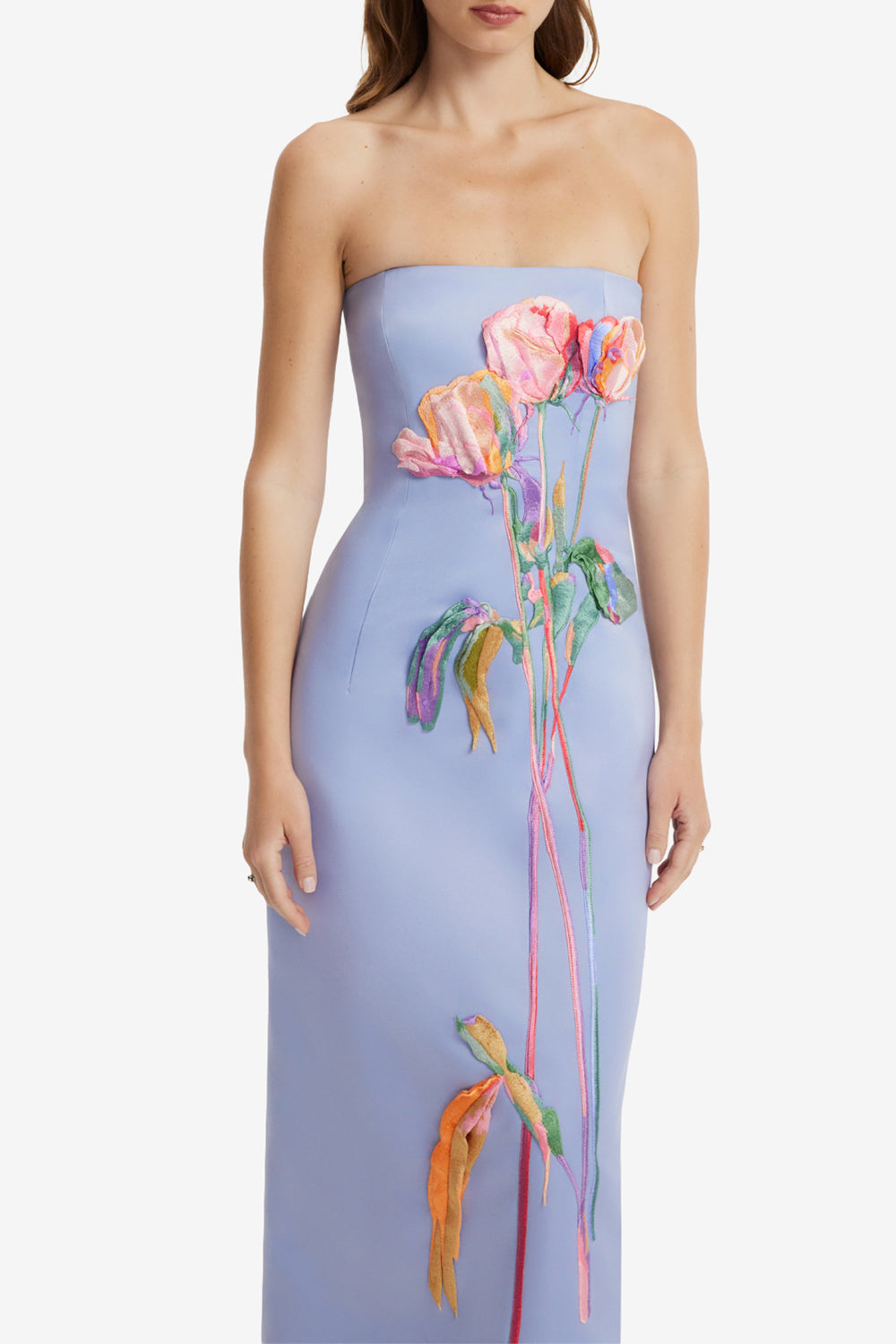 Rayna Embroidered Bustier Maxi Dress