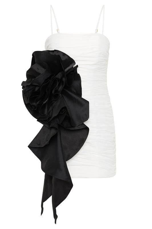 AJE-Potion Spiral Dress - Ivory Black-