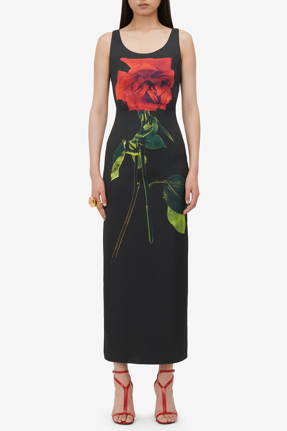 ALEXANDER MCQUEEN-Rose Print Midi Dress-