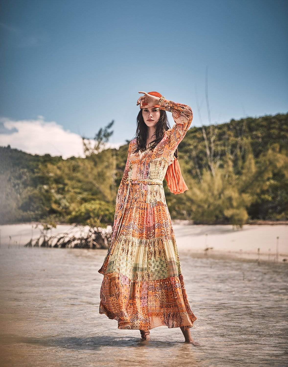 ALEXIS-Fayina Printed Georgette Maxi Dress-