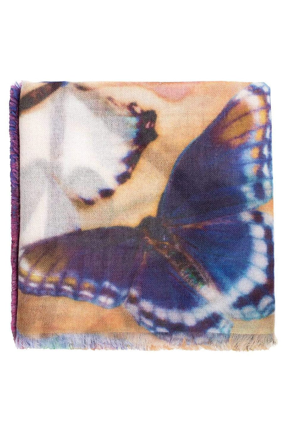 AMA PURE-Butterfly Scarf-BLUE