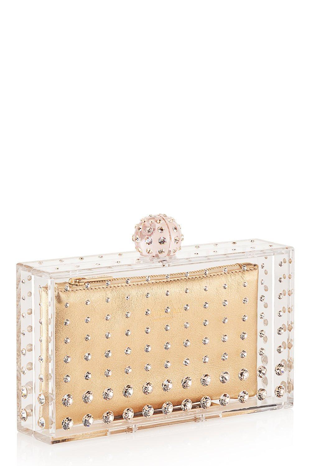 AQUAZZURA-Tequila Clutch - Transparent-TRAN/GLD