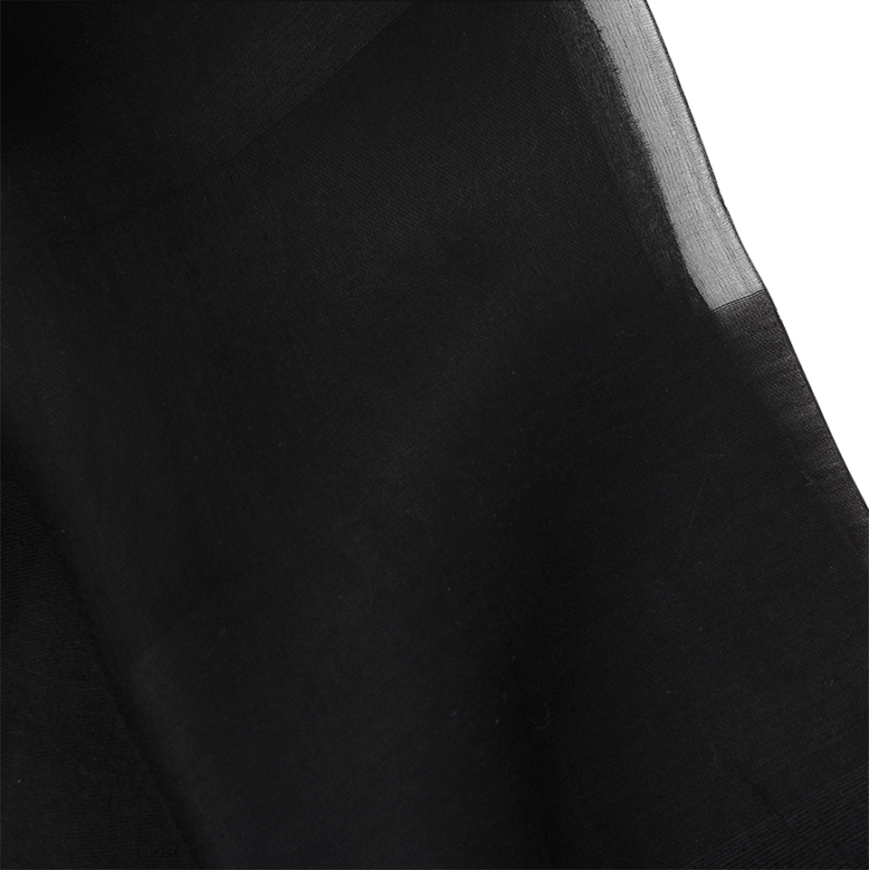 BAJRA SHAWLS-Organza Stripe Scarf-BLACK