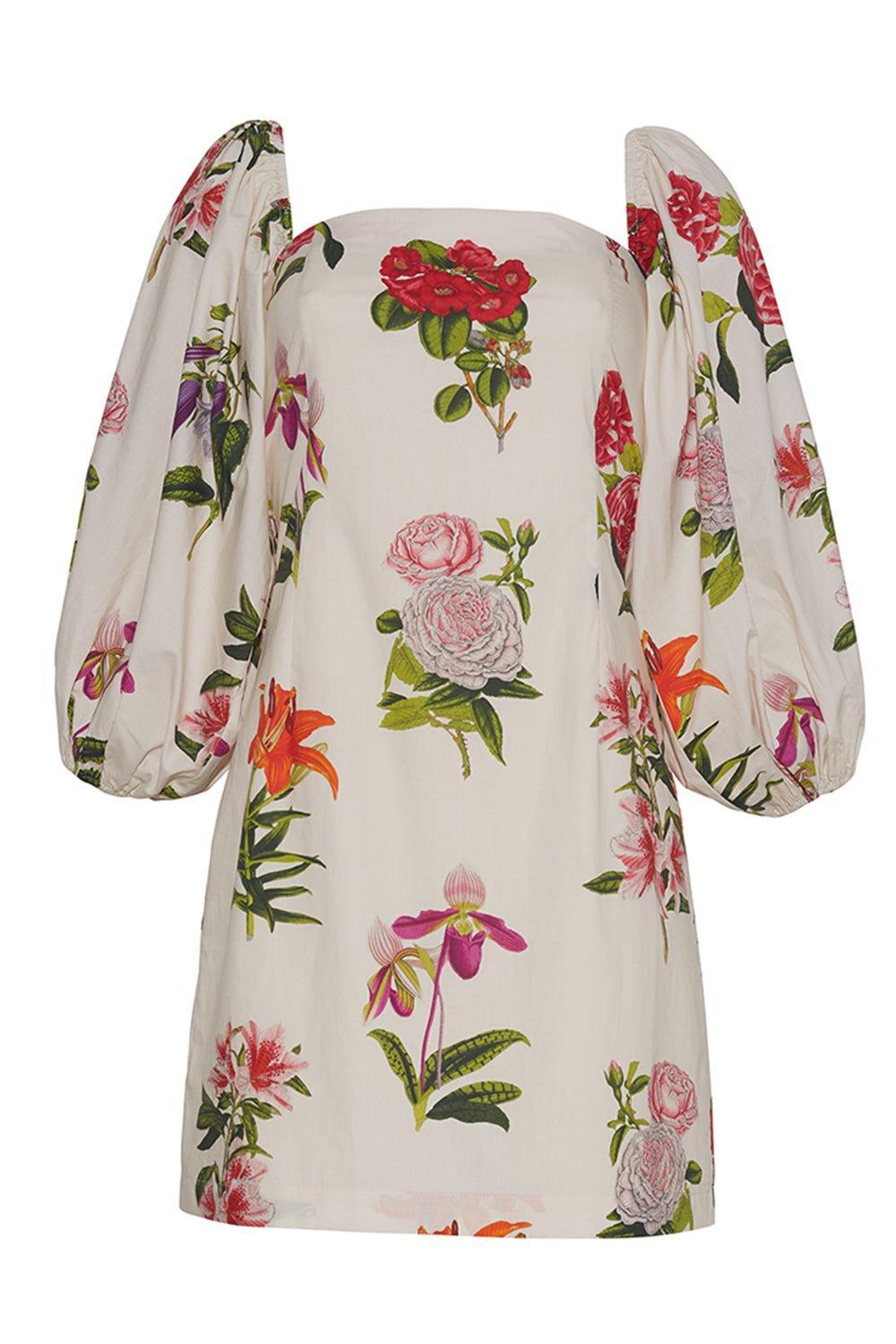 CARA CARA-Montauk Dress-