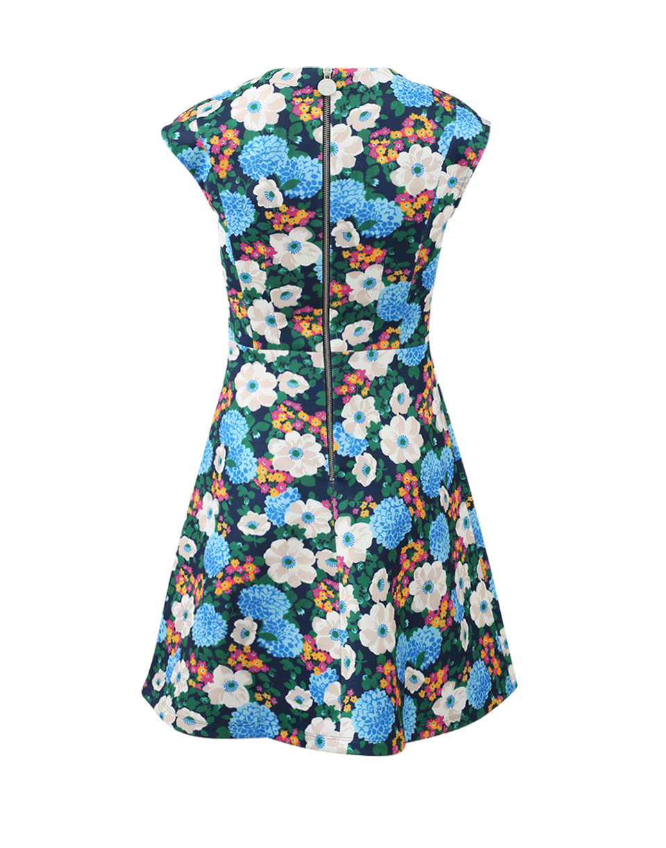 CARVEN-Floral Fit And Flare Dress-