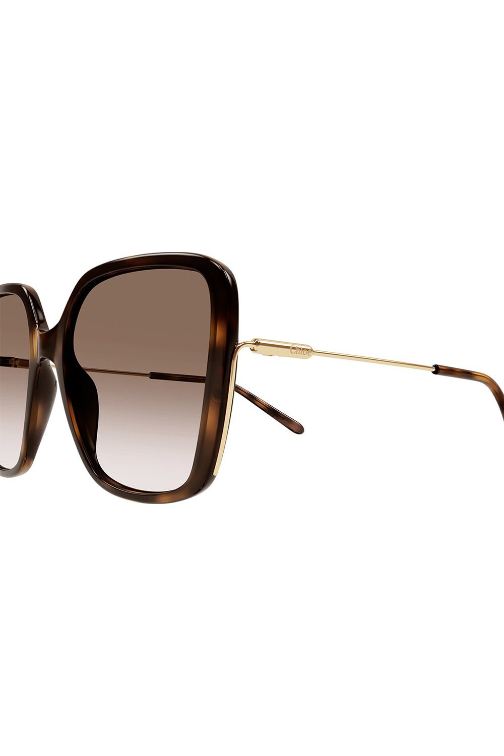 CHLOÉ-Elys Square Sunglasses - Havana-HV/GD/BR