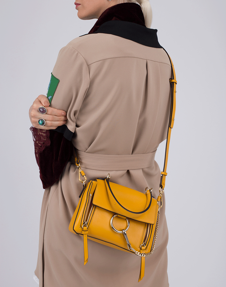 CHLOÉ-Faye Day Mini Bag-DK OCHRE