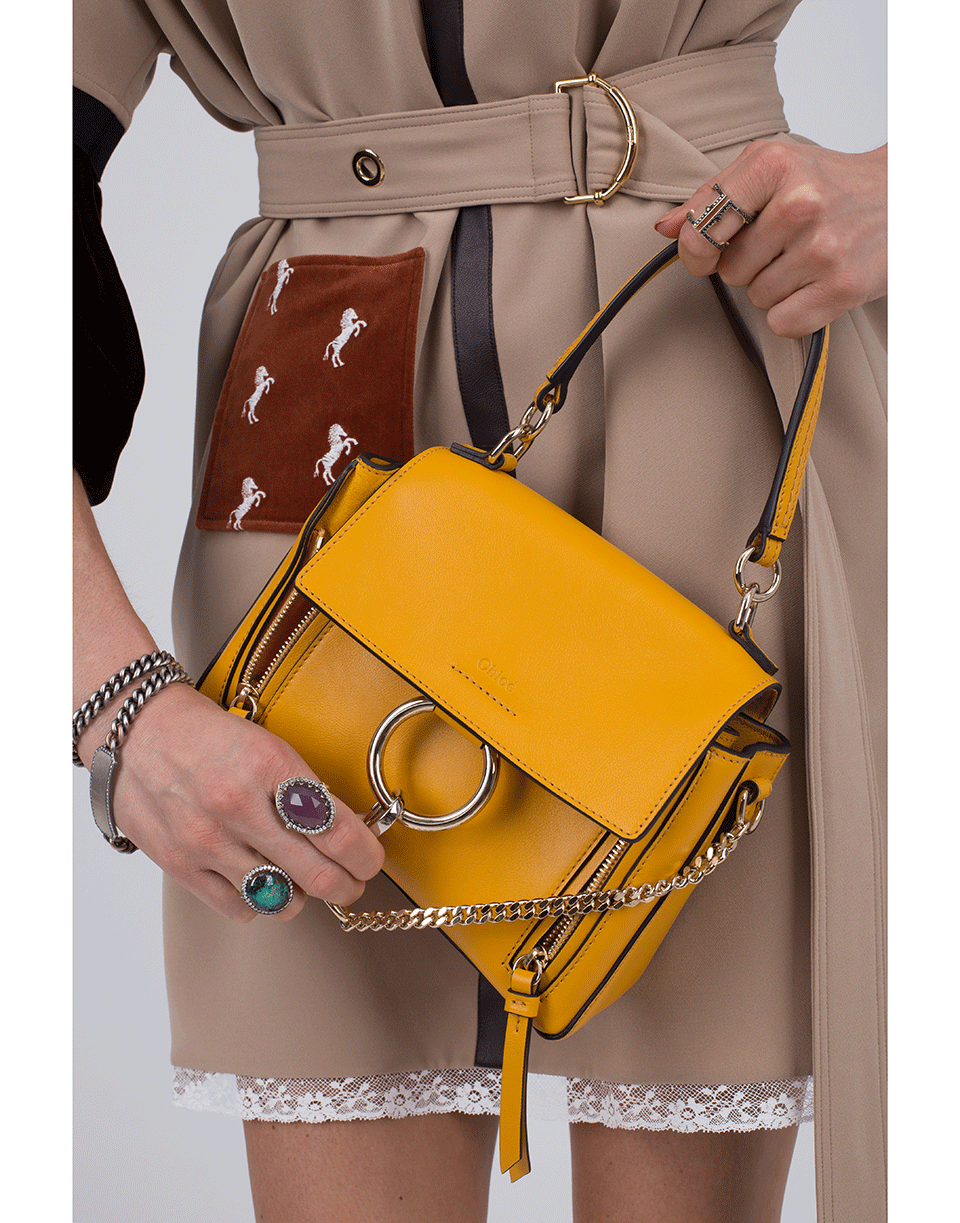 CHLOÉ-Faye Day Mini Bag-DK OCHRE