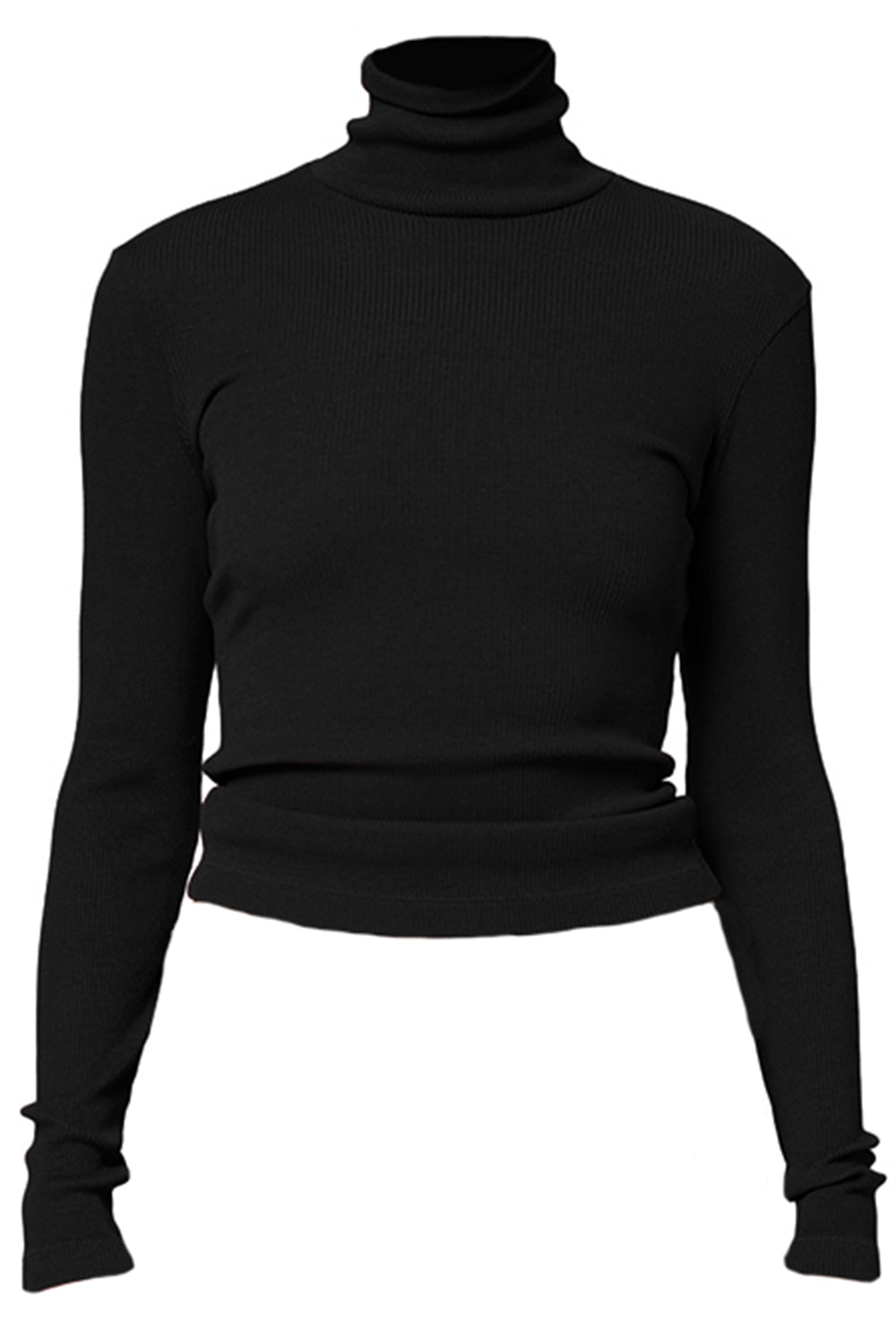 Caradene Turtleneck - Black-BLACK-XS-CLOTHINGTOPKNITS-CITIZENS of HUMANITY