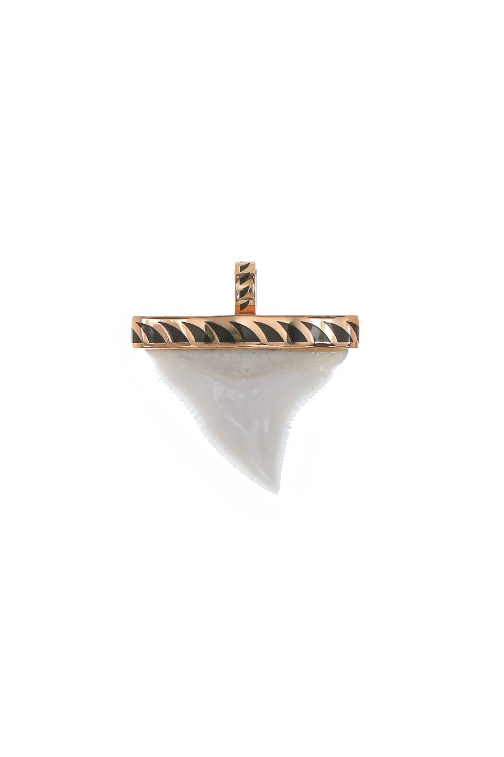 Grande White Shark Tooth Pendant-ROSE GOLD-JEWELRYFINE JEWELPENDANT-DEZSO BY SARA BELTRAN