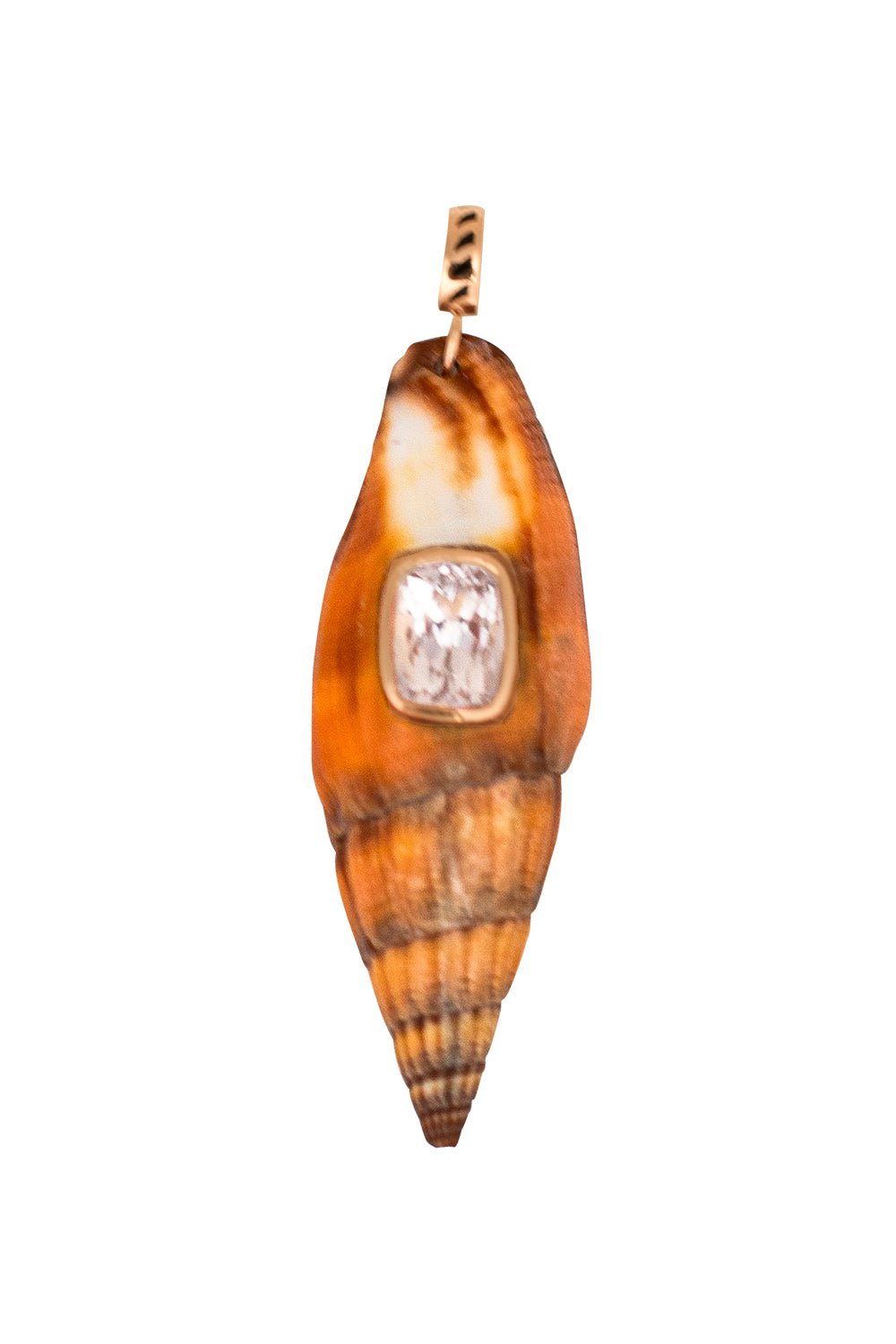 DEZSO BY SARA BELTRAN-Vexillum Selimanite Shell Pendant-ROSE GOLD