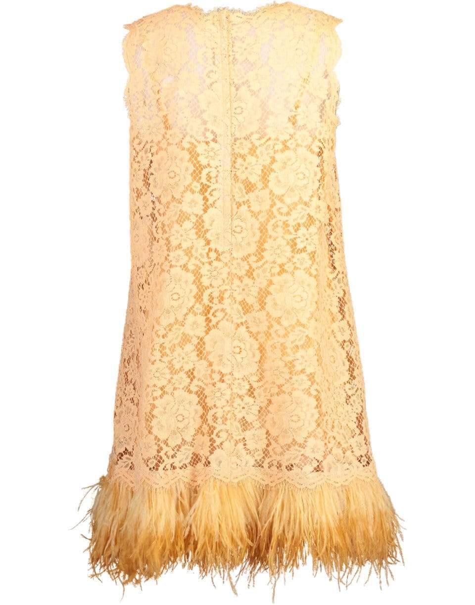 DOLCE & GABBANA-Crewneck Feather Hem Swing Dress-