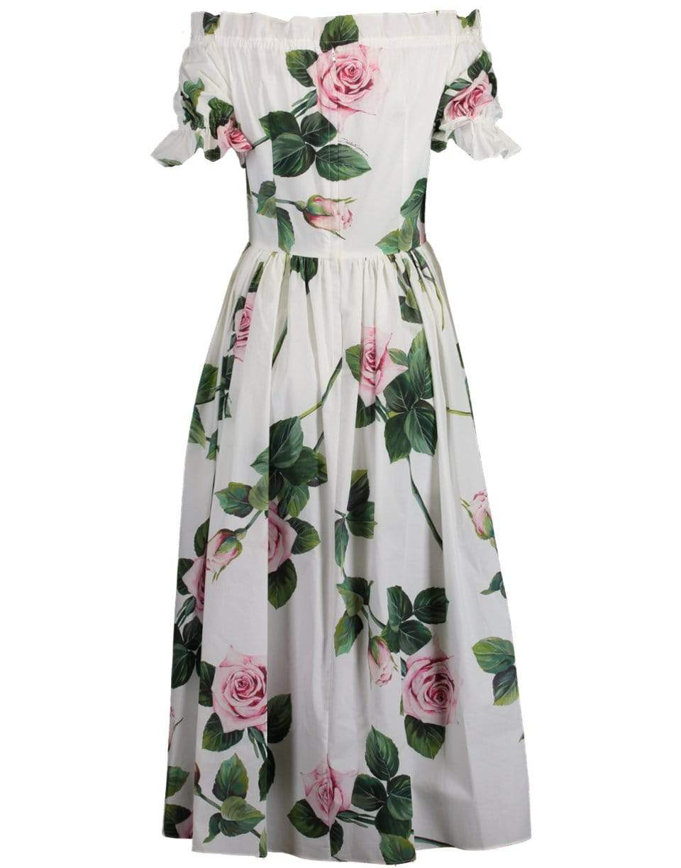 DOLCE & GABBANA-Tropical Rose Print Poplin Dress-ROSE