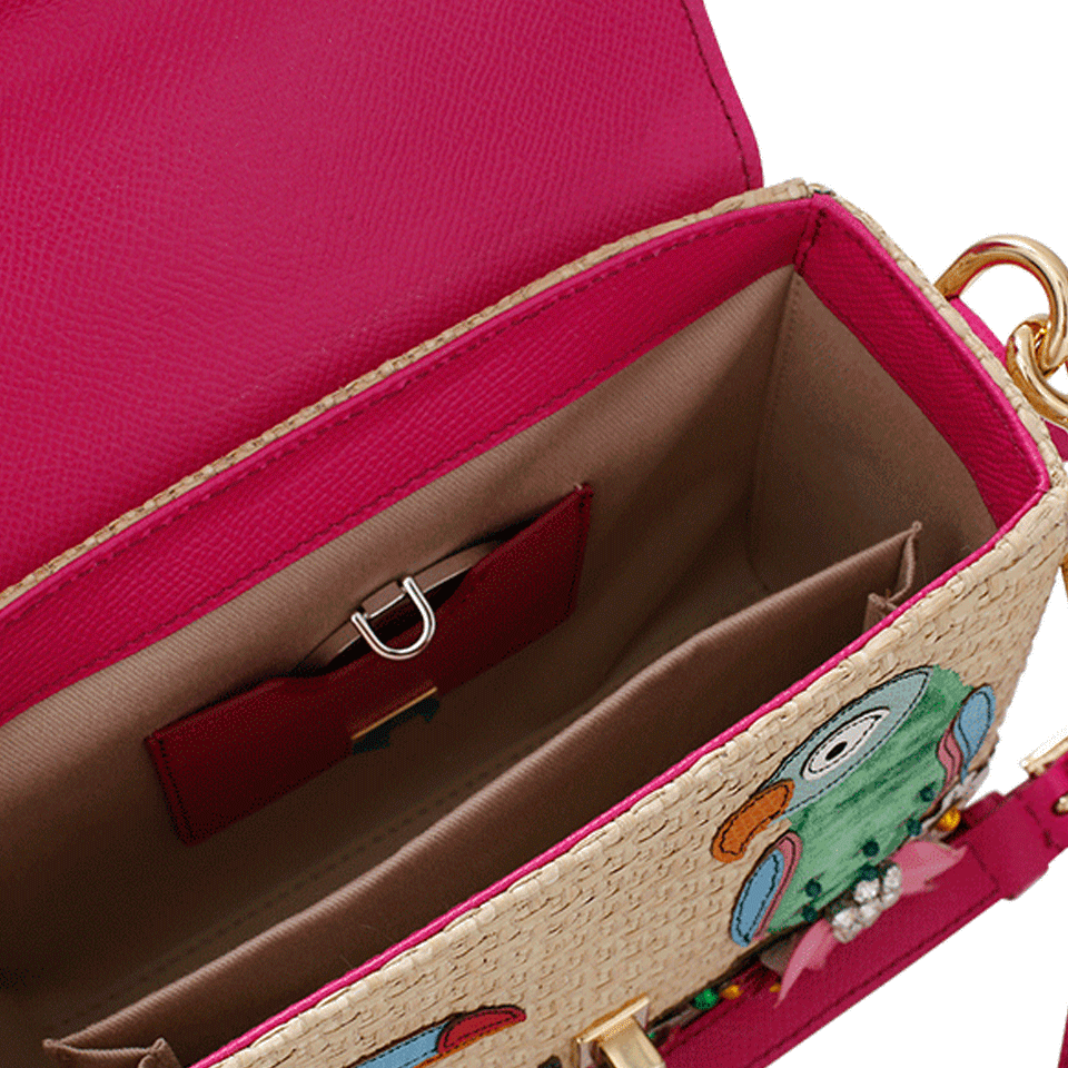 DOLCE & GABBANA-Parrot Embellished Raffia Box-ROSA