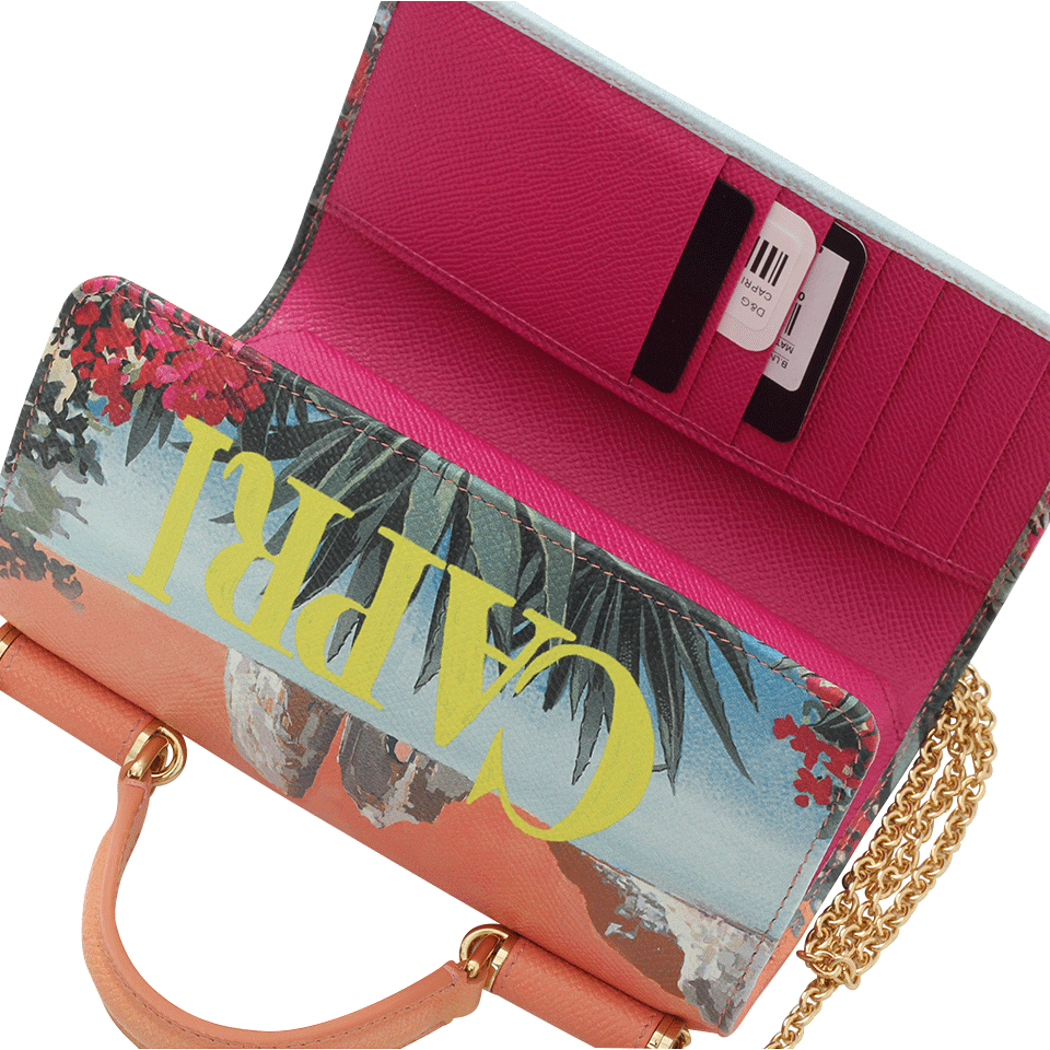 DOLCE & GABBANA-Capri Printed Wallet-CAPRI