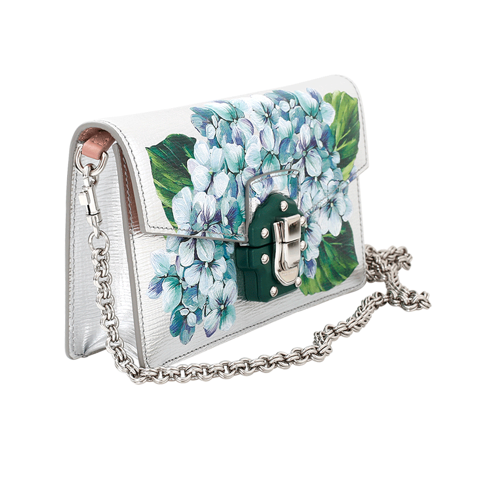DOLCE & GABBANA-Metallic Hand Painted Bag-HYDRANGE