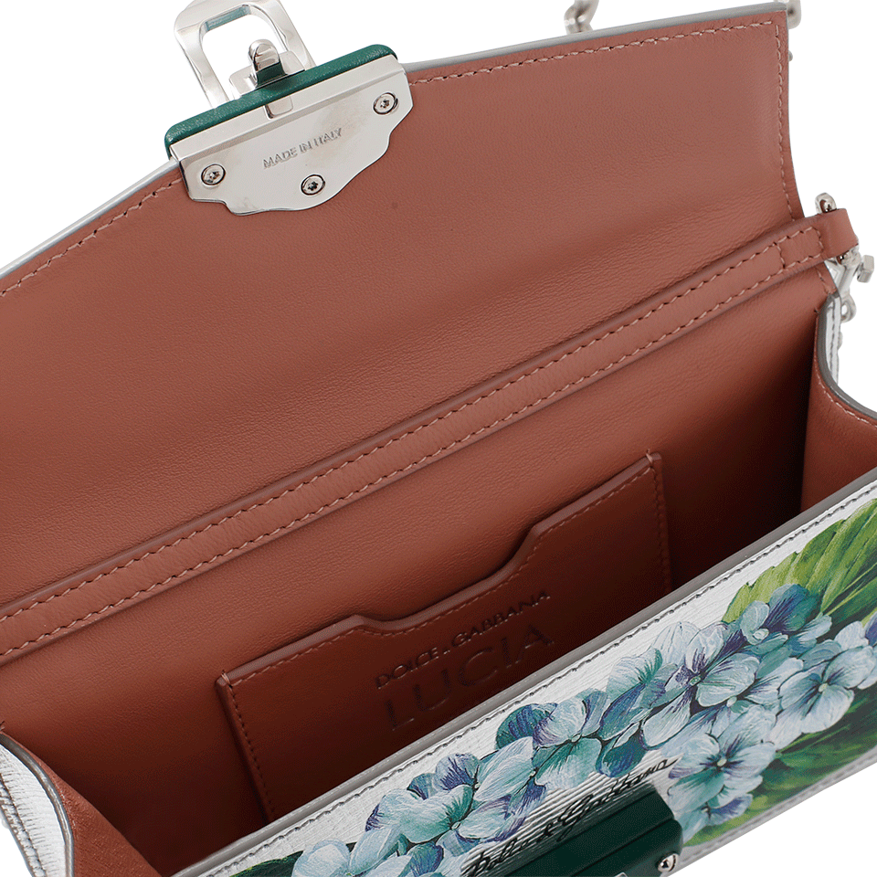 DOLCE & GABBANA-Metallic Hand Painted Bag-HYDRANGE