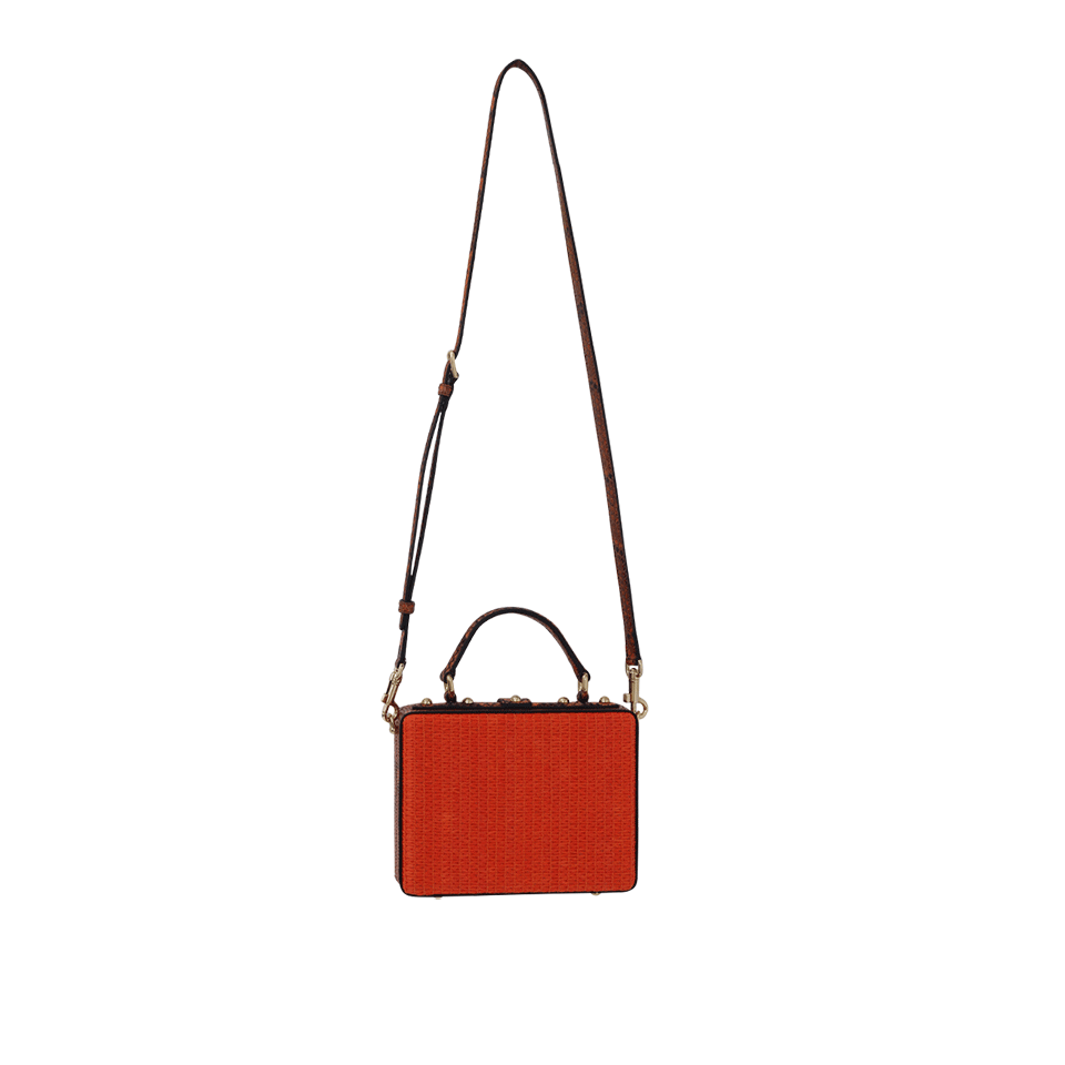 DOLCE & GABBANA-Raffia And Python Box Purse-ORANGE