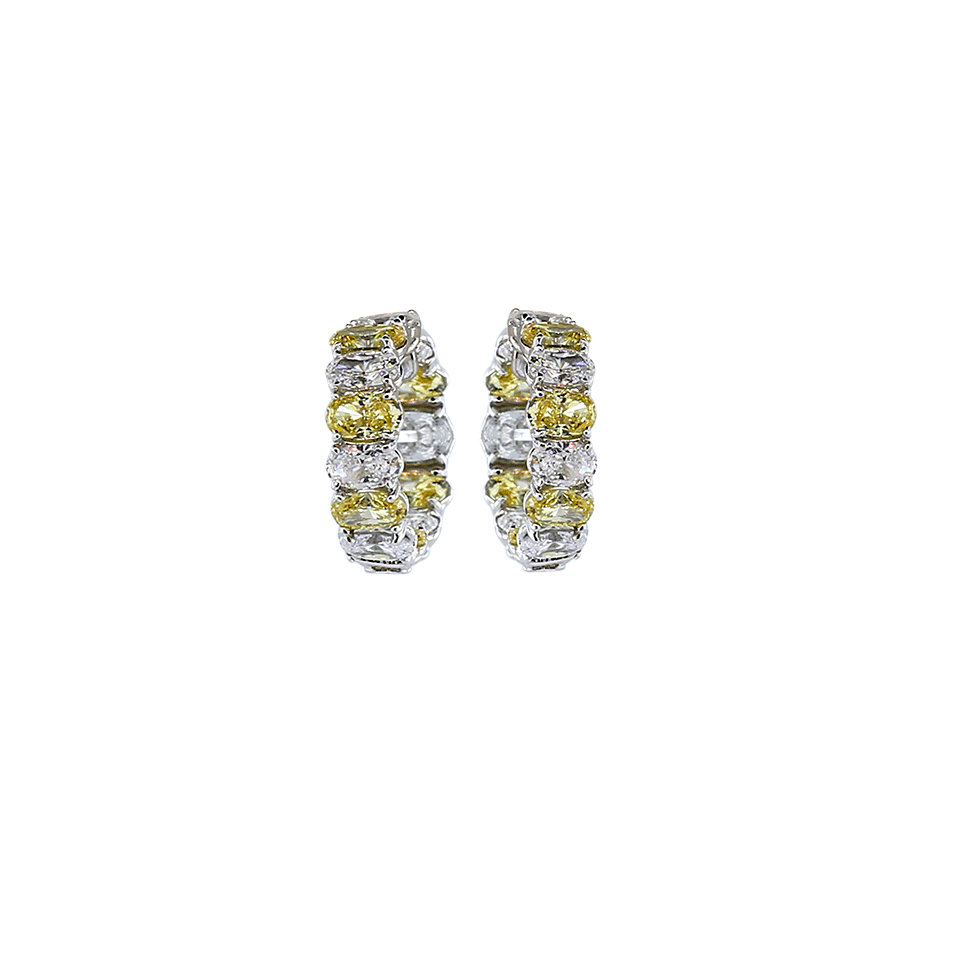 FANTASIA by DESERIO-Oval Hoop Stone Earrings-CANRY/CZ