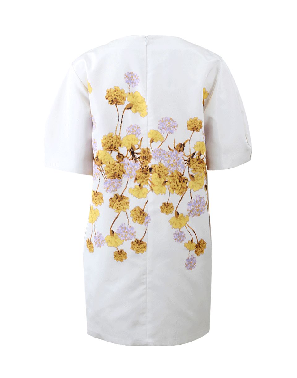 GIAMBATTISTA VALLI-Floral Print Dress-
