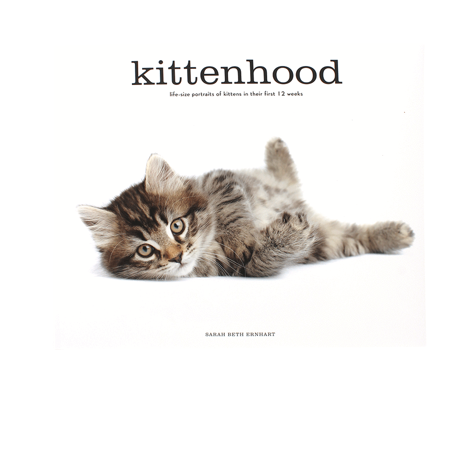 HACHETTE BOOK GROUP-Kittenhood-