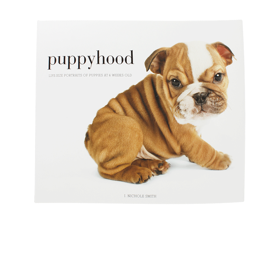 HACHETTE BOOK GROUP-Puppyhood-