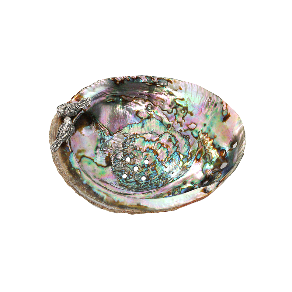 LOTUS ARTS de VIVRE-Mexican Abalone Shell Bird Bowl-ABALONE