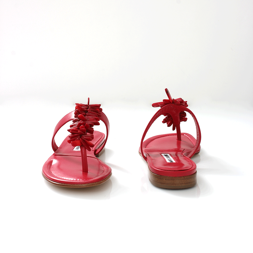 MANOLO BLAHNIK-Coralona Thong Sandal-
