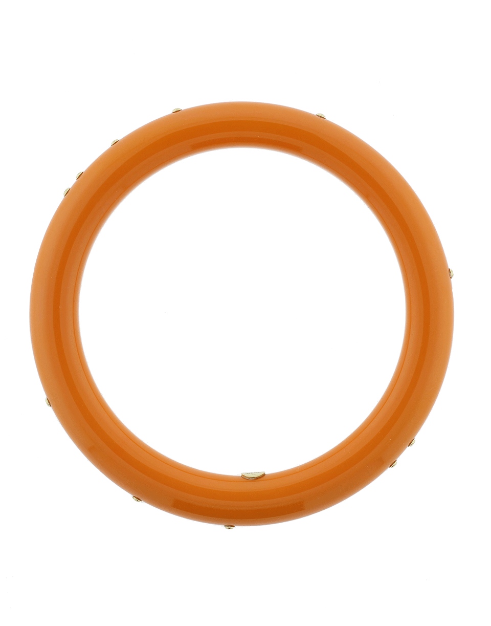 MARK DAVIS-Tortoise Bakelite Bangle-YELLOW GOLD