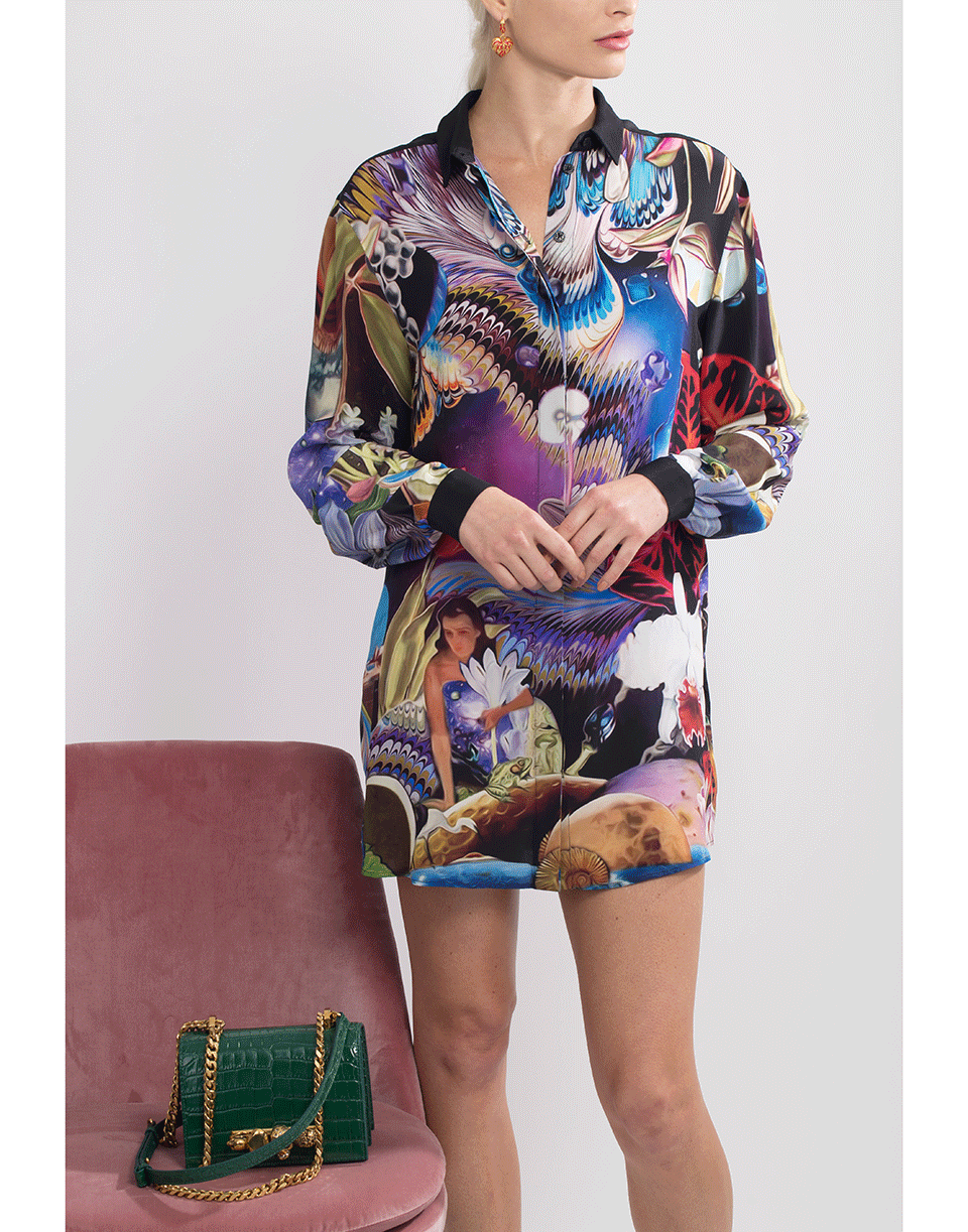 MARY KATRANTZOU-Fantasy Print Goya Shirt Dress-