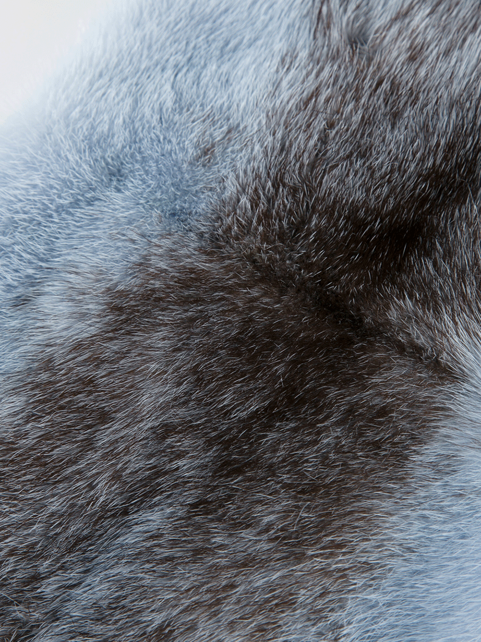 MICHAEL KORS-Dyed Mink Scarf-ICE