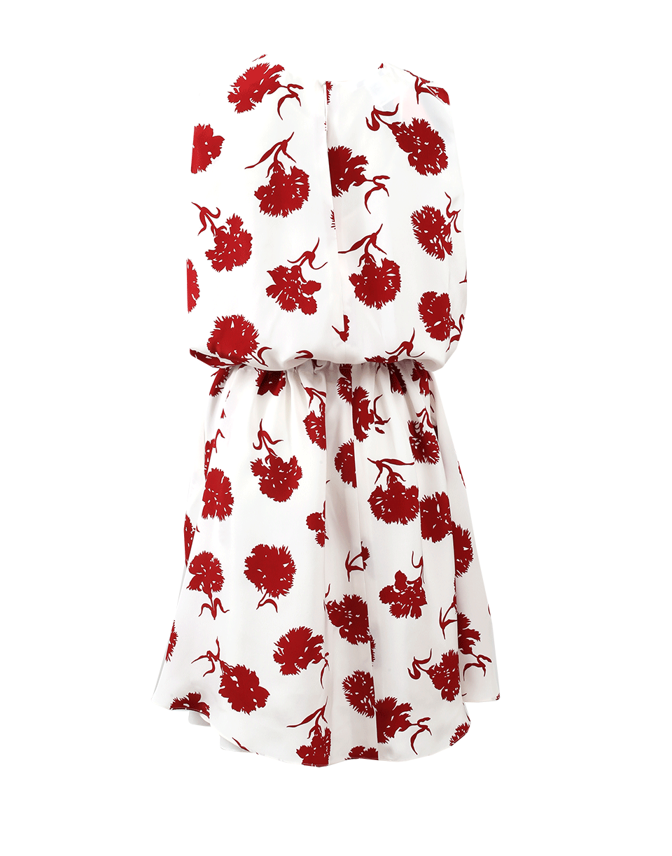 OSCAR DE LA RENTA-Floral Tie Dress-IVORY