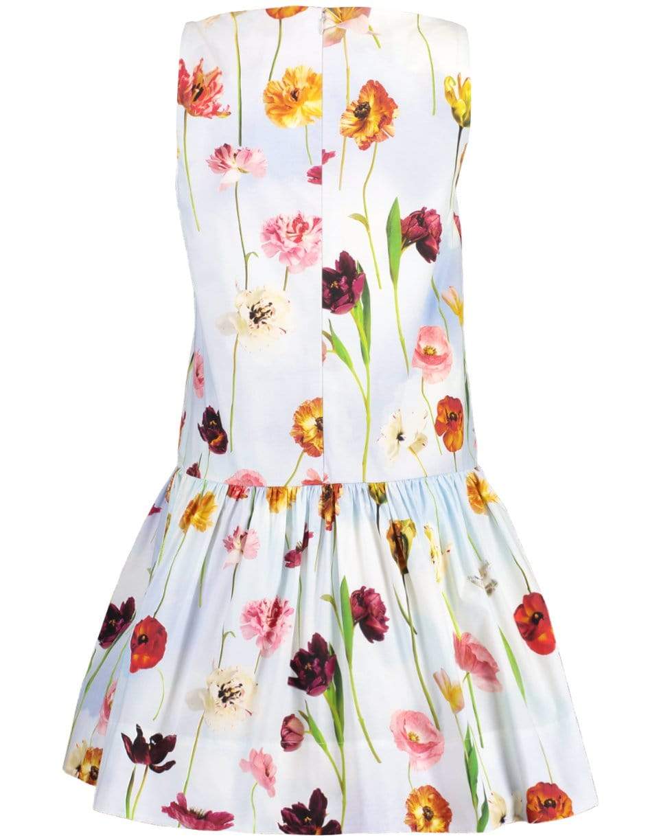 OSCAR DE LA RENTA-A-Line Floral Bow Dress-