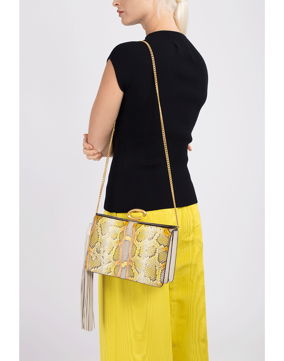 OSCAR DE LA RENTA-Painted Python Slim Clutch-NATURAL