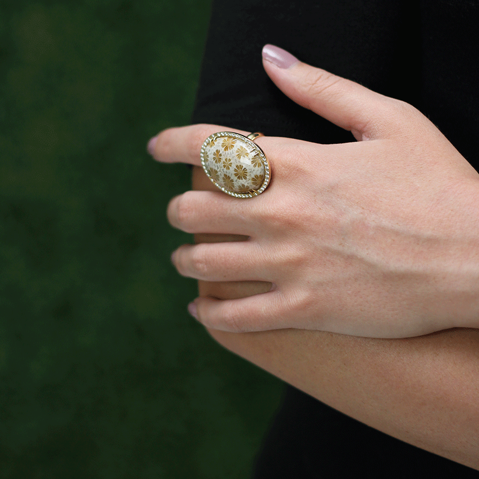 PAMELA HUIZENGA-Fossilized Coral Ring-YELLOW GOLD
