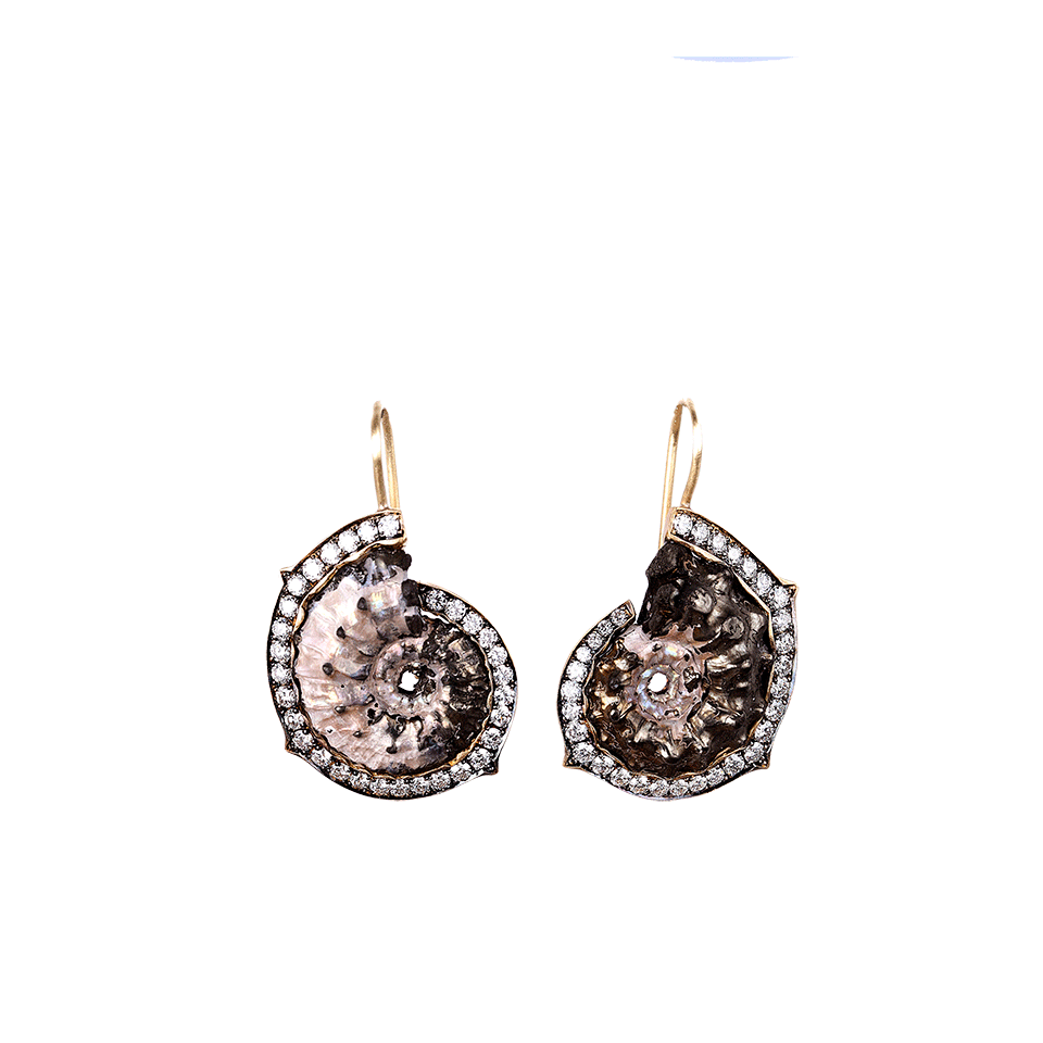 SYLVA & CIE-Ammonite Shell Earrings-YELLOW GOLD