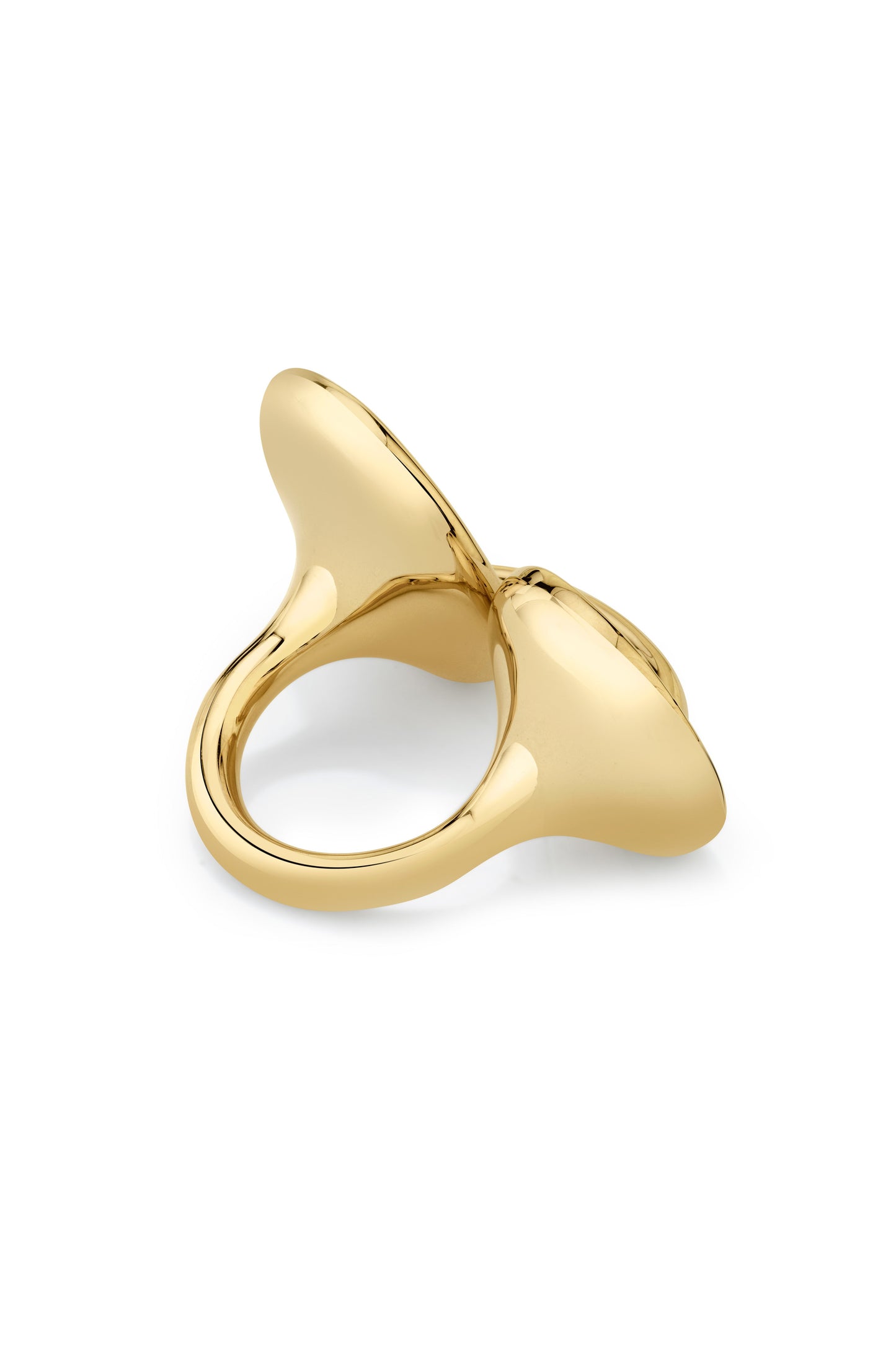 VRAM-Sinc Ring-YELLOW GOLD