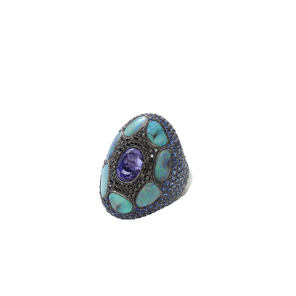 WENDY YUE-Tanzanite Ring With Opal-BLACK GOLD